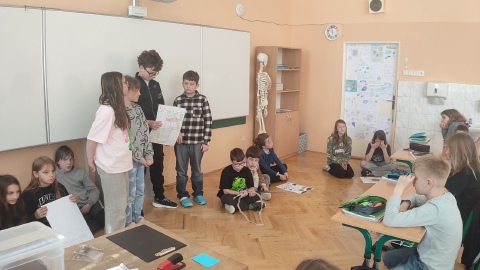 Obrázek v galerii
