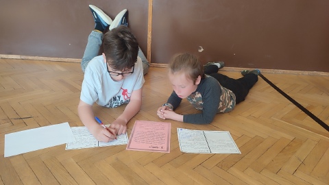 Obrázek v galerii