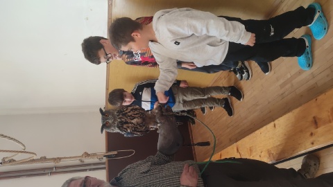 Obrázek v galerii