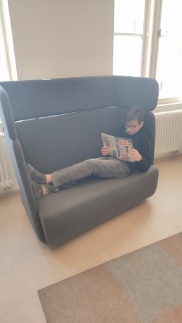 Obrázek v galerii