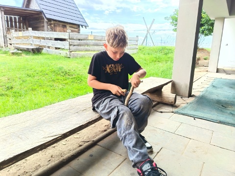 Obrázek v galerii