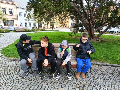 Obrázek v galerii