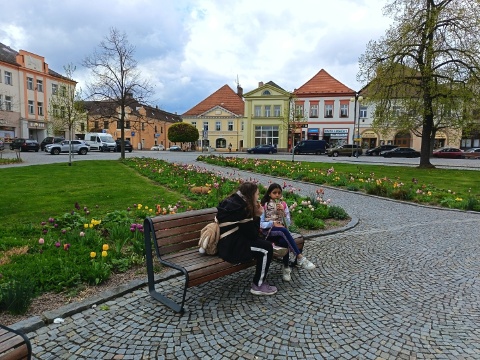 Obrázek v galerii