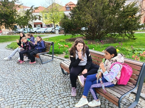 Obrázek v galerii