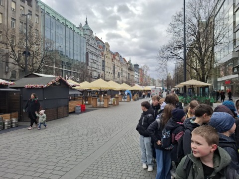 Obrázek v galerii