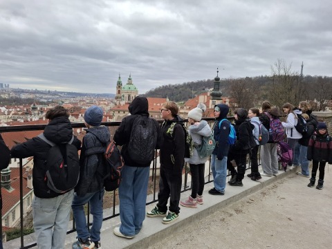 Obrázek v galerii