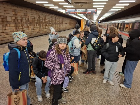 Obrázek v galerii