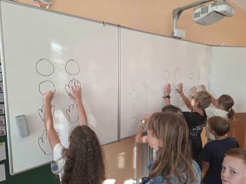 Obrázek v galerii