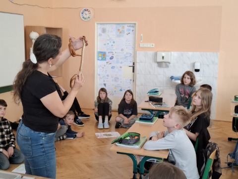 Obrázek v galerii