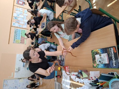 Obrázek v galerii