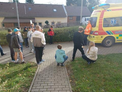 Obrázek v galerii