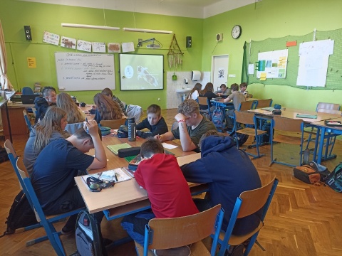Obrázek v galerii