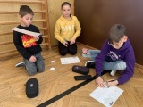 Obrázek v galerii